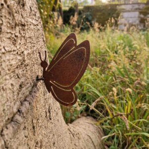 Mariposa