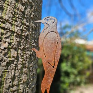 Pajaro Carpintero
