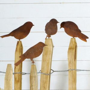 Pajaros Set por Cuatro