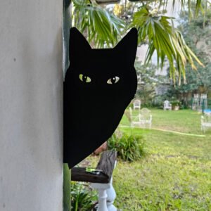 Gato 1 Asomado
